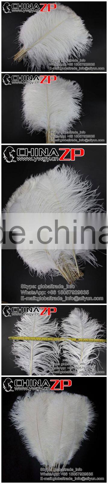 ZPDECOR Wholesale Exporting Selected Prime Quality from 12'' to 14'' White Ostrich Feather for Sale