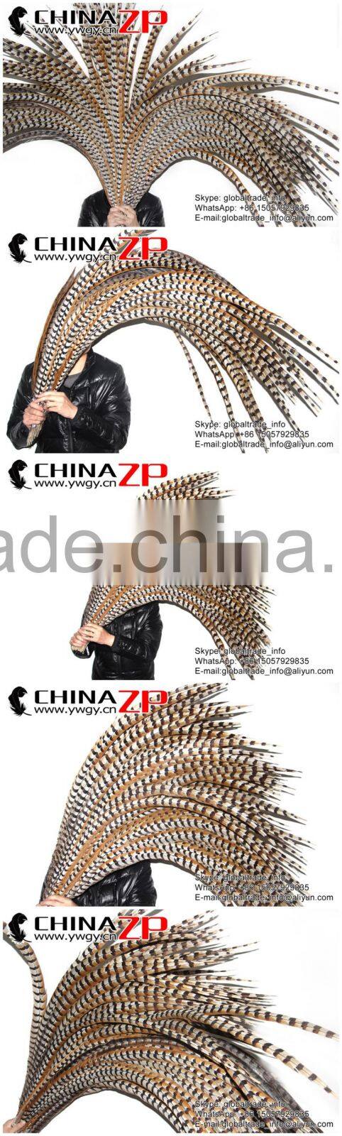 No.1 Supplier ZPDECOR Best Selling Cheap Large Natural 140-150cm Length Super Large Reeves Venery Pheasant Tail Feathers