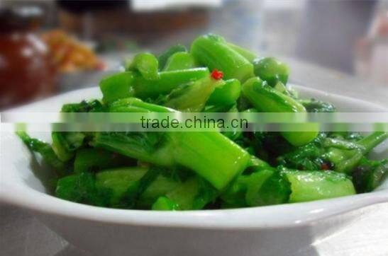 2015 good quality flower Chinese cabbage for growing