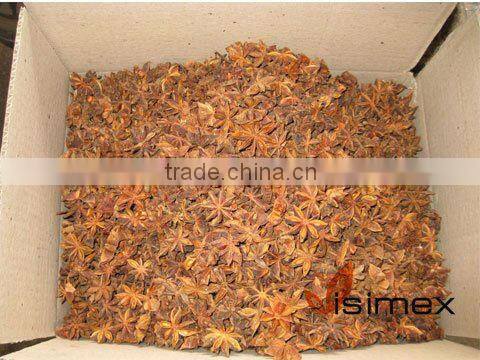 VIETNAM STAR ANISE GOOD PRICE