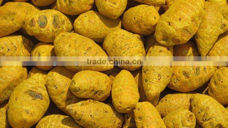 Dried Turmeric Exporters/Turmeric Curcumin