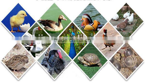 microcomputer full-automatic eggs hatcher prices in egypt