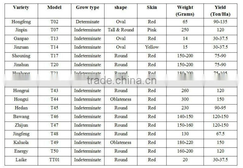 ACO011 Yumi yellow skin f1 hybrid super sweet corn seeds