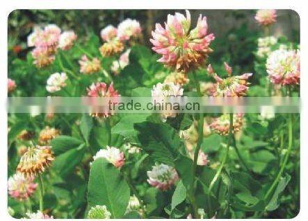 charming discount hydraulic landscaping seed for greening