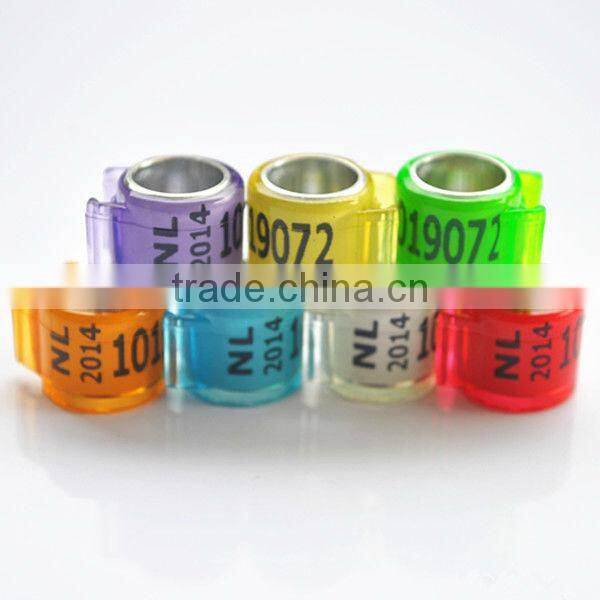 2015 bands pigeon leg rings custom with EXW price