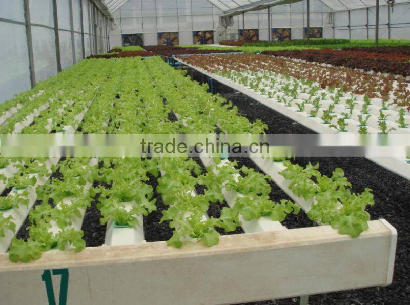 Single-span Hydroponic system PC Sheet Greenhouse