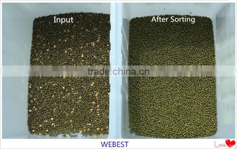 High precision CCD camera color corter for beans sorting