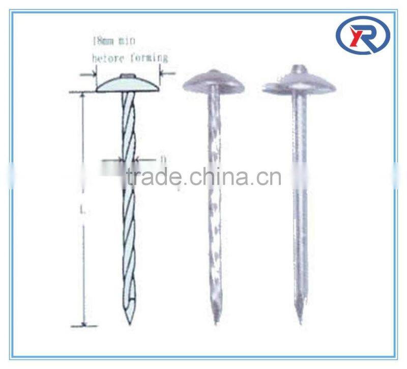 trade assurance umbrella roofing nails with twist shank 2'' 2.5'' 3'' from china