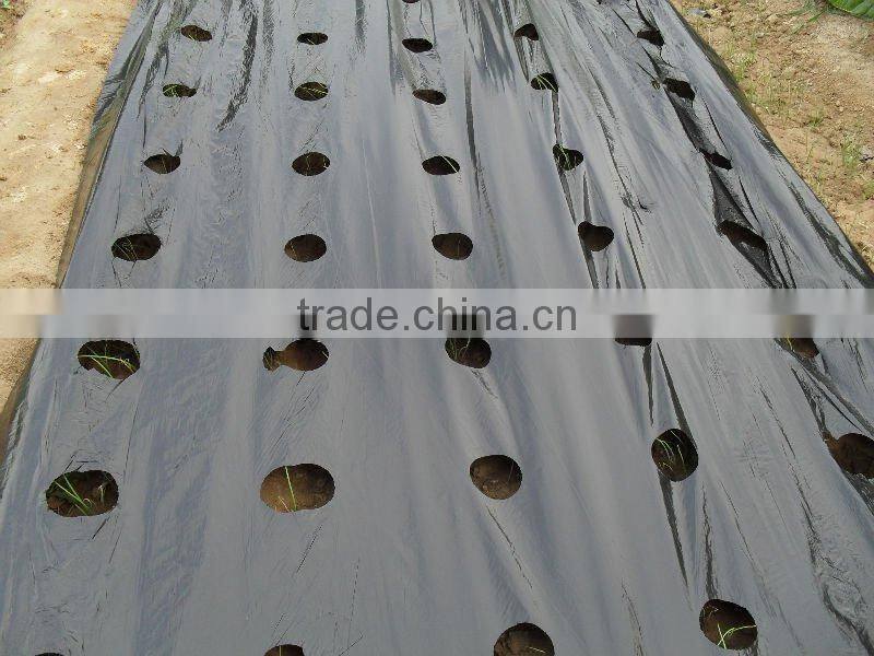 plastic black film with free holes