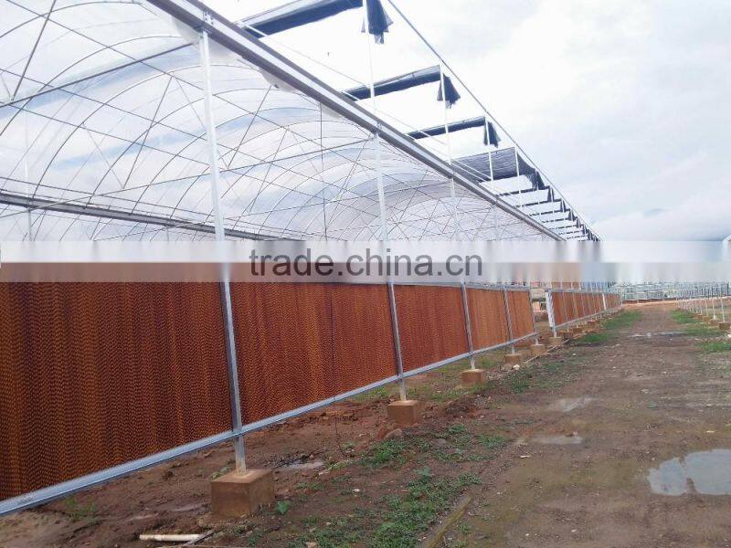 The steel structure greenhouse