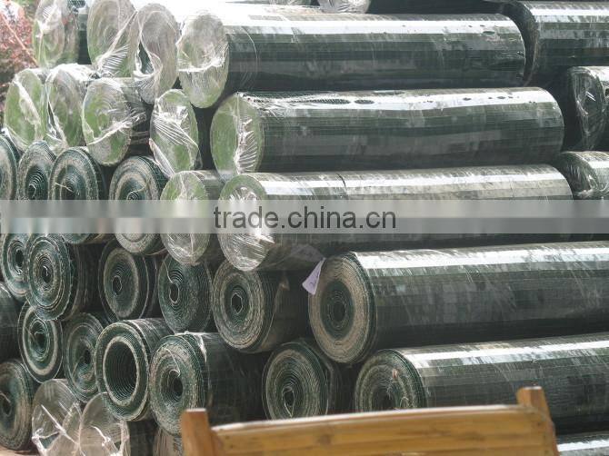 Galvanized Welded Wire Mesh Panel