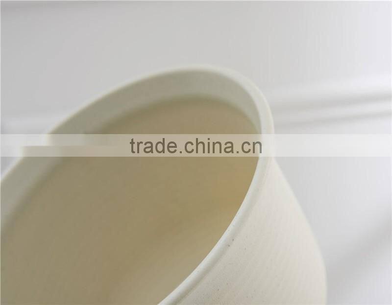 Plastic Round succulent Plant Pot/Cactus Plant Pot Flower Container