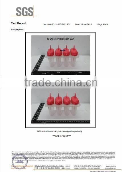 NEW PP plastic six groups of ice cream maker,ice cream moulds