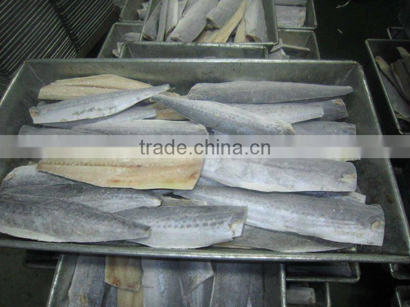 spanish mackerel fillet skin-on