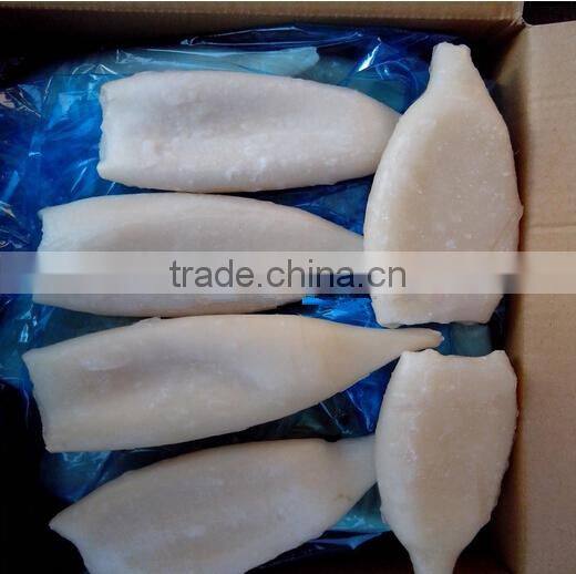 Hot Sale Calamari Tube/Frozen Squid Tube