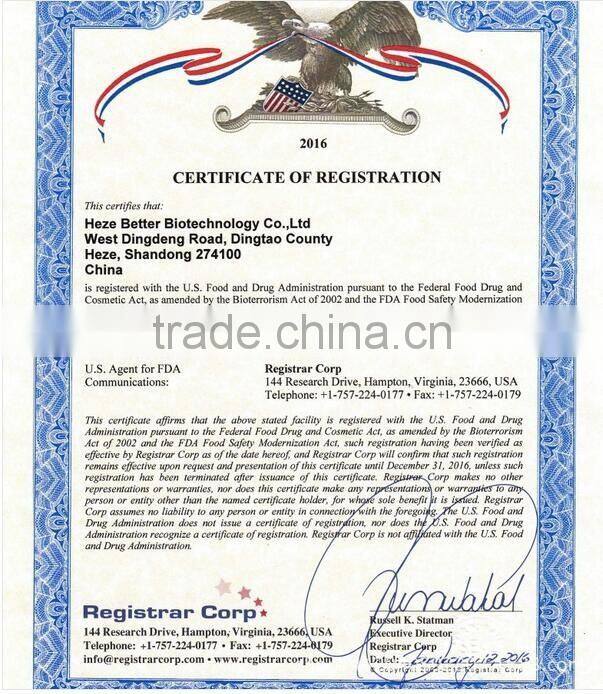 Best Selling MAGIC Ginger Tea Lowest Price