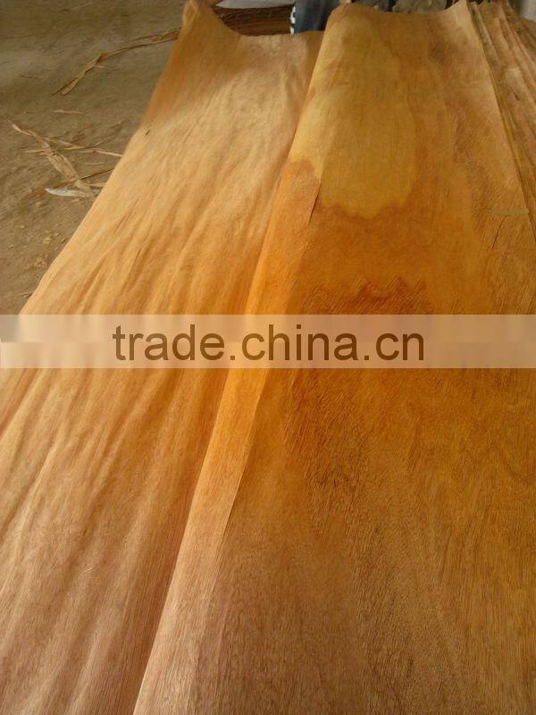 EV/NATURA VENEER