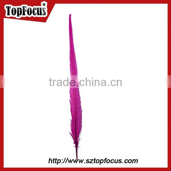 50-55cm assorted color dyed Pheasant tail feathers