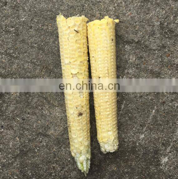 Automatic feeding fresh corn peeling sweet maize thresher machine