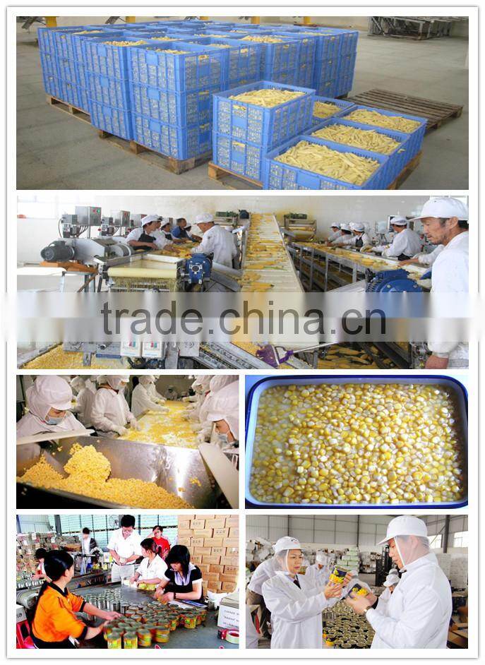 China different type canned corn price cheap and competitive