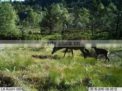 Ltl Acorn 12MP 850NM GSM GPRS Trail Hunting Camera MMS SMS Mobile report with External Antenna