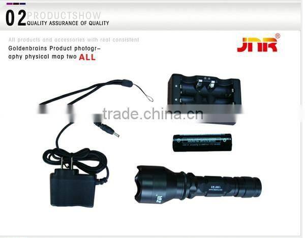 Animal Skin disease checking lamp