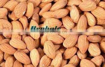 Reliable Performance Almond Shucking Machine Used for shelling hard shell nuts