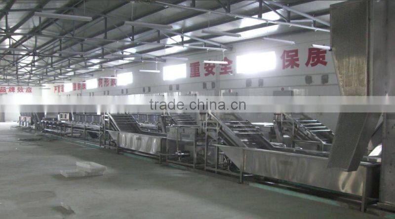 jujube/red dates cleaning, sorting, drying production line