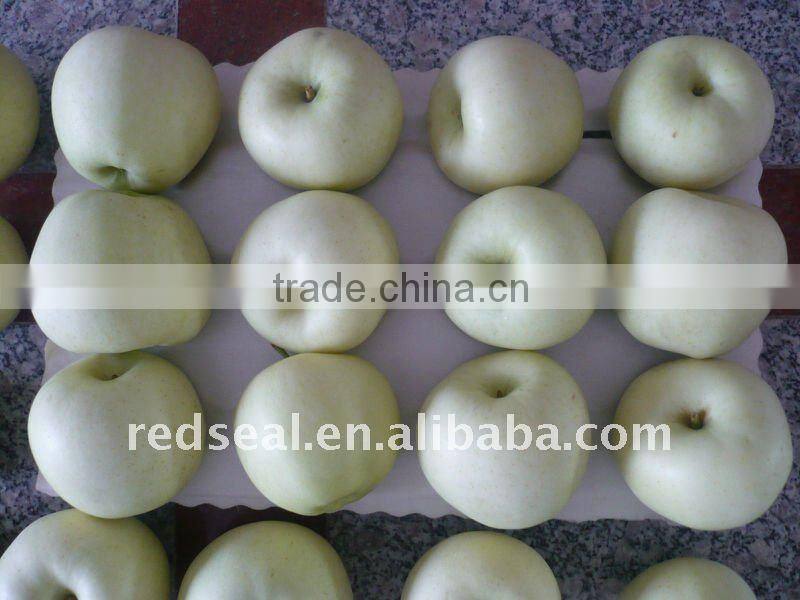 Fresh golden delicious apple