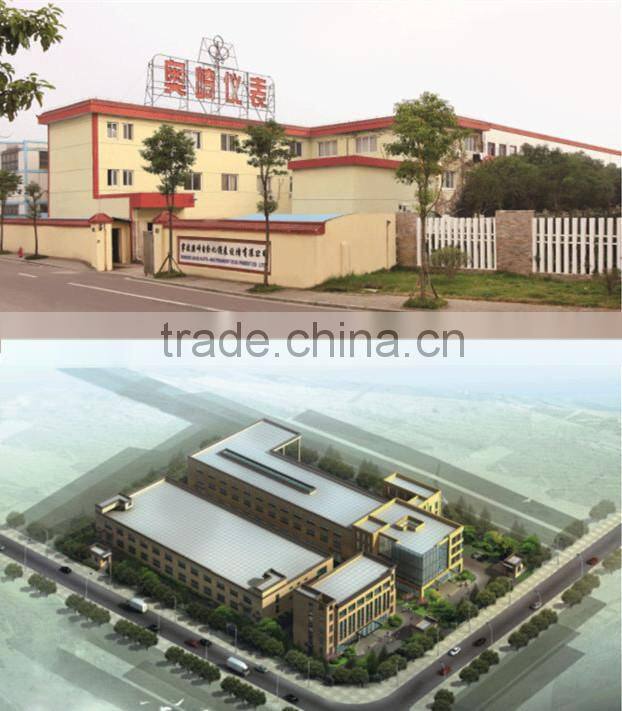 B Type High Pt100 Temperature Sensor Cable for Probe for Industry