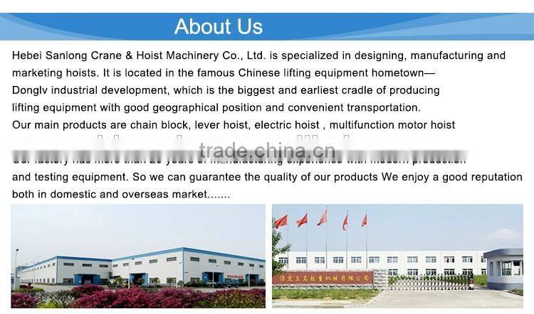 100kg PA100-200 small lift winch