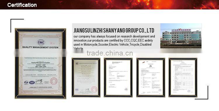 three wheel motorcycle Cargo