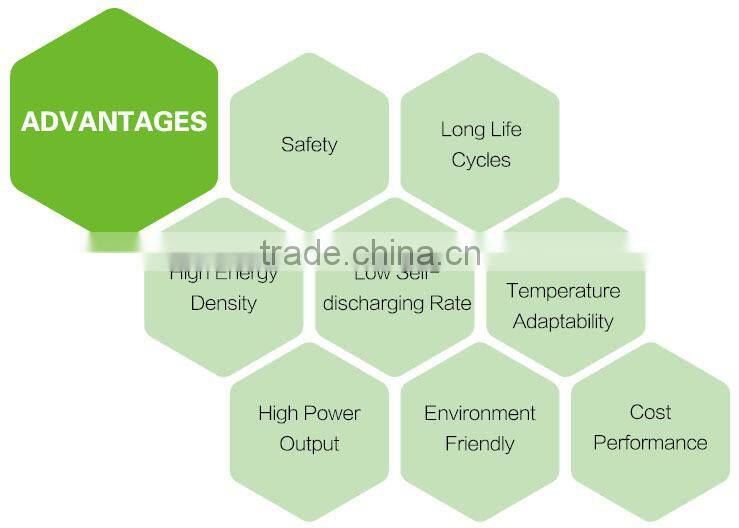 Lithium Battery Type and 48v Voltage 48v 100ah lifepo4 battery