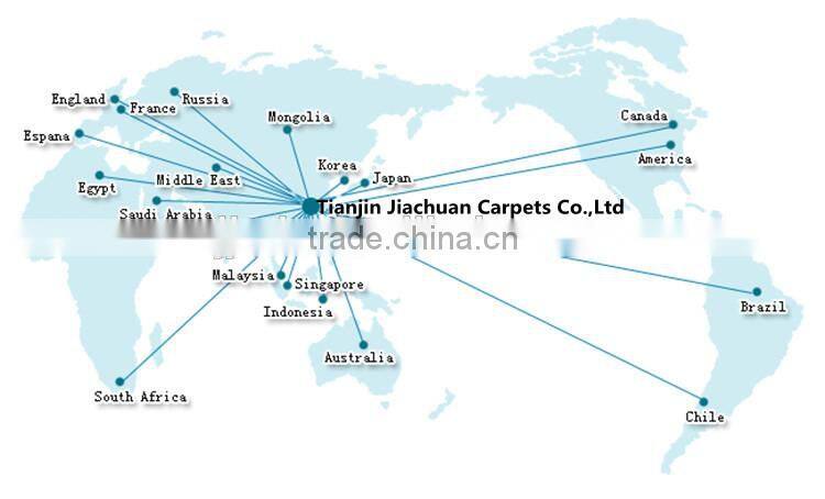 polyester chenille wholesale decorative pillow