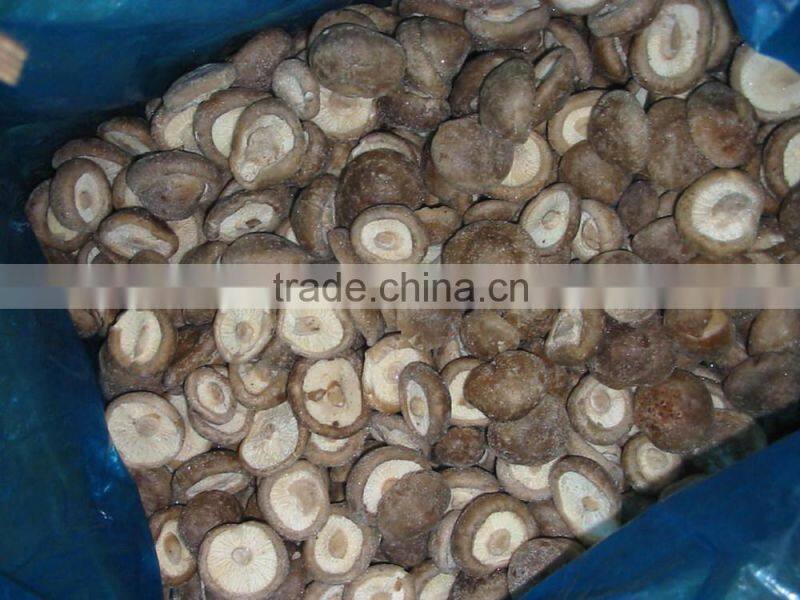 Frozen blanched Shiitake mushroom whole crop 2015 hot sale