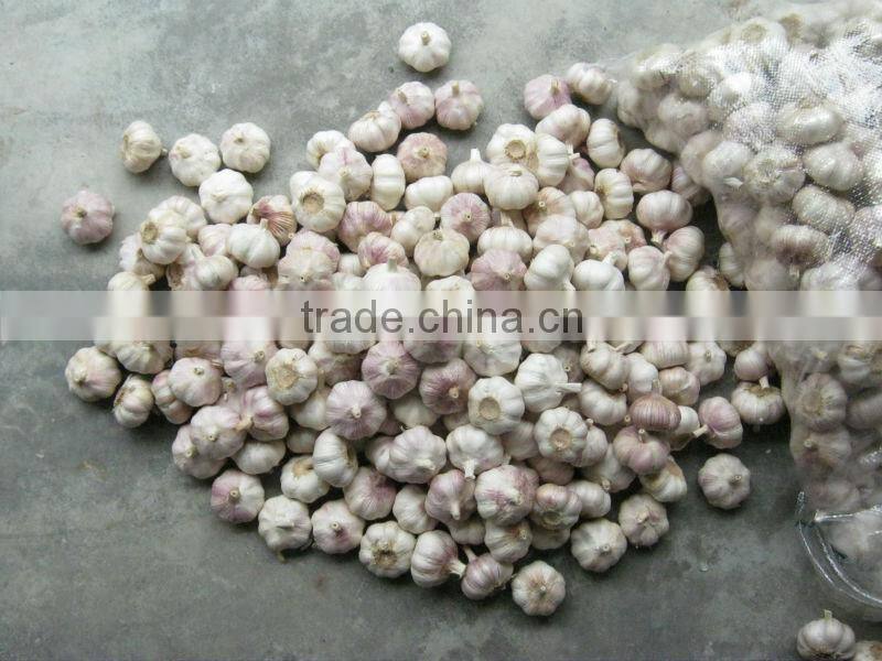 black garlic