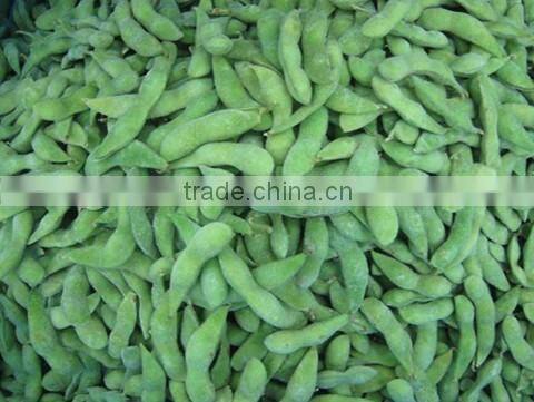 IQF Fresh Soybeans