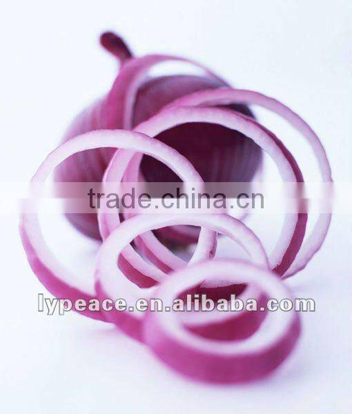 dehydrated onion vegetables for food products
