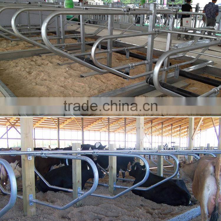 Farm livestock equipment for cow loops cow cubicle