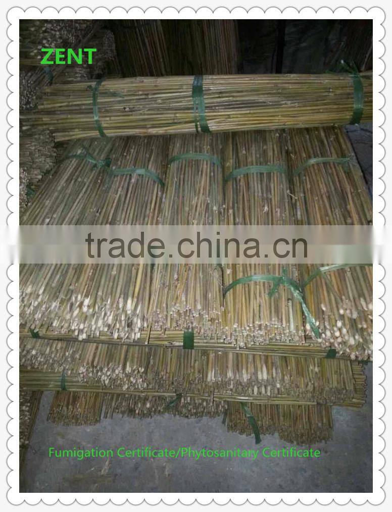 ZENT-142 Bamboo poles cheap