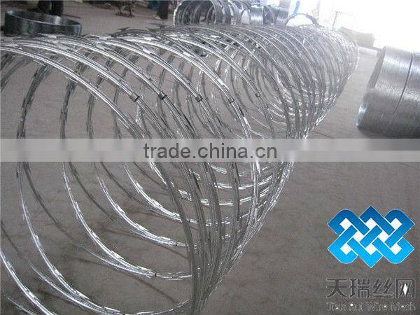 Razor barbed wire / Hot dip Galvanized razor barbed wire