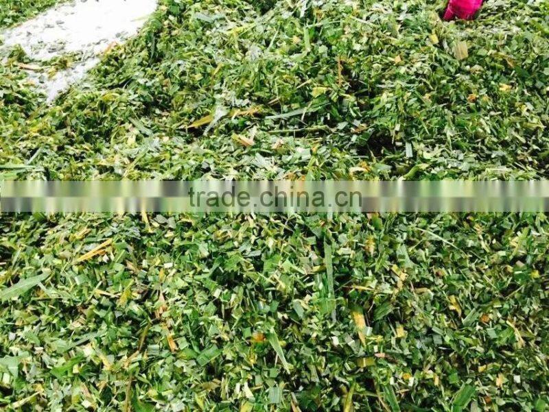 High quality motor operated chaff cutter Kenya