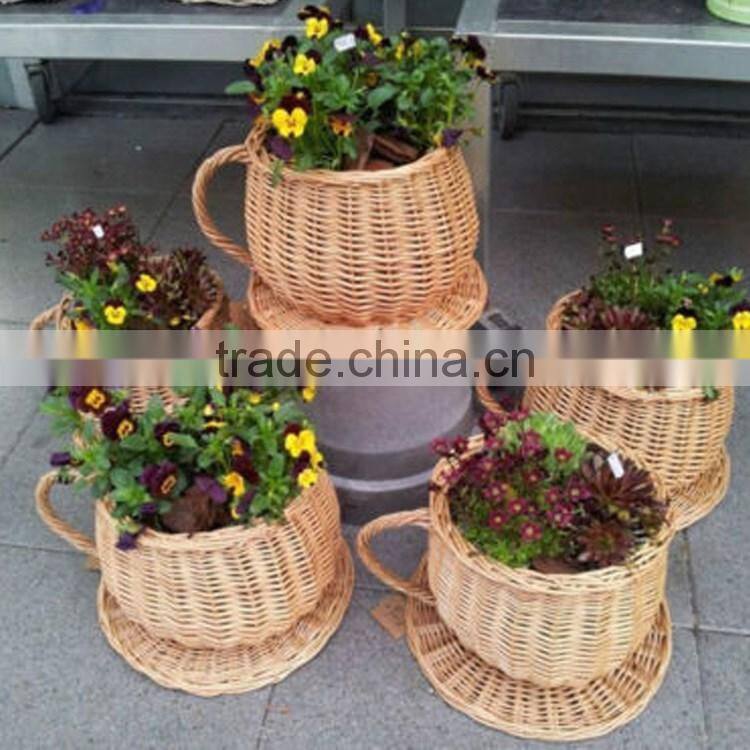 Indoor desk decoration wicke rwoven novelty small teacup planters