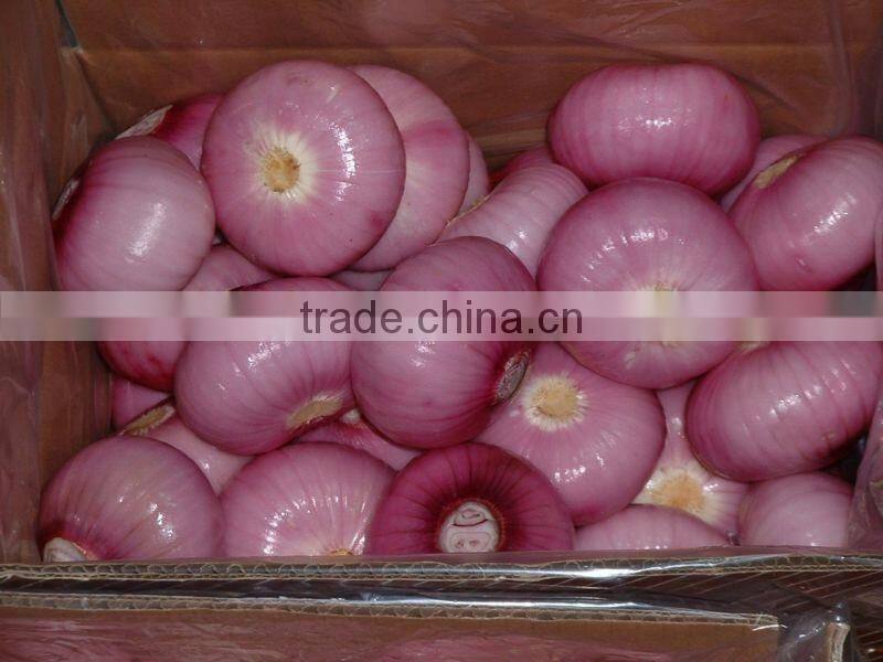 Onion Multiple layer continuous type mesh belt dryer