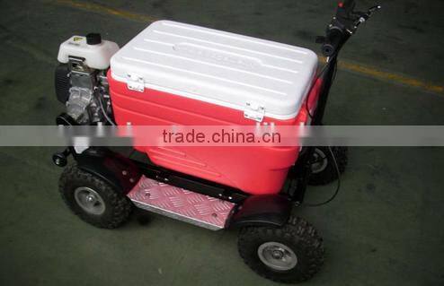 43cc EPA approved gasoline refrigerator scooter/cooler box scooter for adult (TKS-S43)