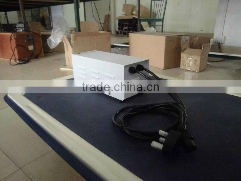 600W HID Magnetic ballast