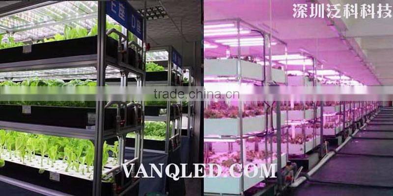 waterproof 30w light vertical physical therapy equipment lamp for aquaponics growing system