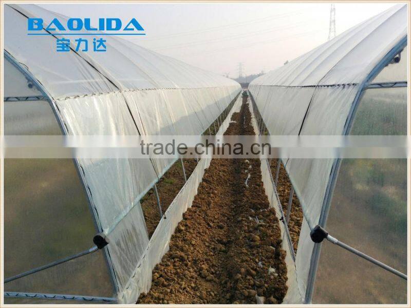 baolida Cheap PE Film Tunnel Greenhouse Mushroom Greenhouse