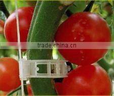 Agricultural Clip Tomato Clip 25mm
