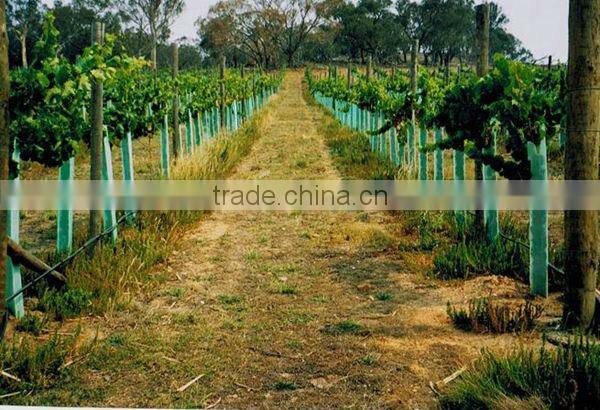 CORFLUTE GUARD, 450H X 200MM --- CHINA MANUFACTURER